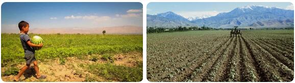 Tajikistan Agriculture